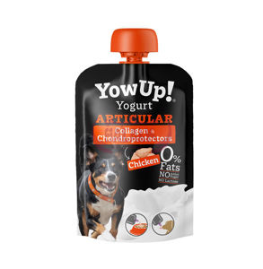 Picture of Yowup!Yogurt –  Chicken. Articulate - Dogs