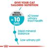 Picture of URINARY CARE 2KG