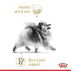 صورة POMERANIAN ADULT 1.5KG