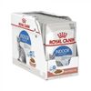 Picture of ROYAL CANIN INDOOR WET FOOD POUCHES