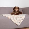 Picture of Blanket Lingo - Trixie