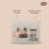 Picture of Chipo Cushion ( Bulldog Pattern) - Trixie