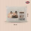 Picture of Chipo Cushion ( Bulldog Pattern) - Trixie