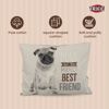 Picture of Chipo Cushion ( Pug Pattern) - Trixie