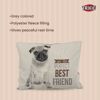 Picture of Chipo Cushion ( Pug Pattern) - Trixie