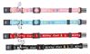 Picture of Kitten Collar - Trixie