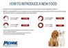 Picture of Monge Bwild - Monge Natural SuperPremium Grain Free Formula All Breeds Adult Dog Anchovies with Potatoes and Peas - 2.5kg