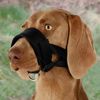 Picture of Muzzle ( L) - Trixie