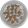 Picture of Slow Feeding Ceramic Bowl - Trixie