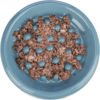 Picture of Slow Feeding Ceramic Bowl - Trixie