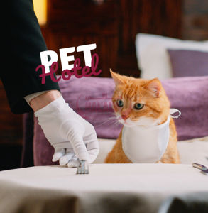 Picture of PET HOTEL-Cats
